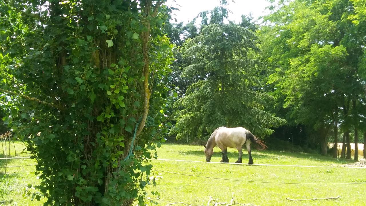 Manoir De Vilaines Varennes  Bagian luar foto